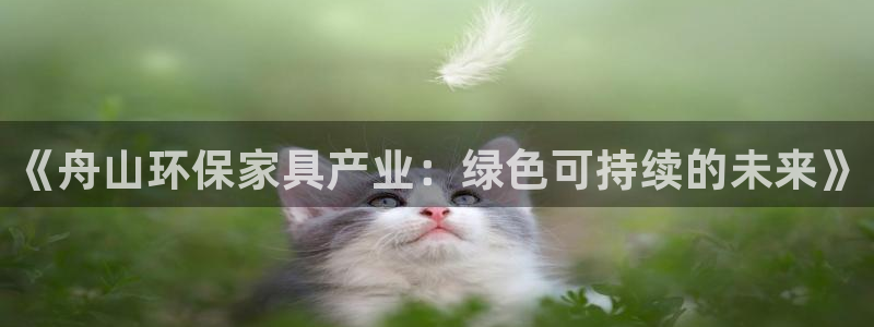 tptools下载