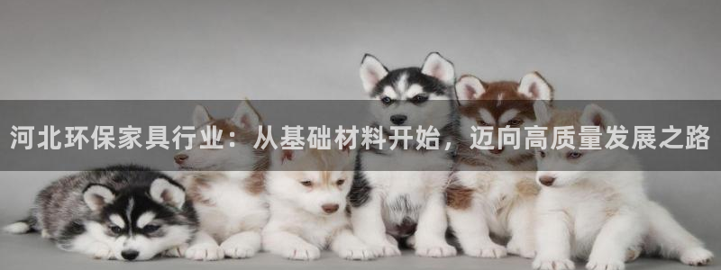 tp冷钱包官网下载app最新版本苹果
