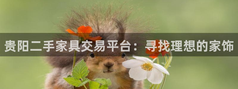 TP钱包app下载最新版本更新内容