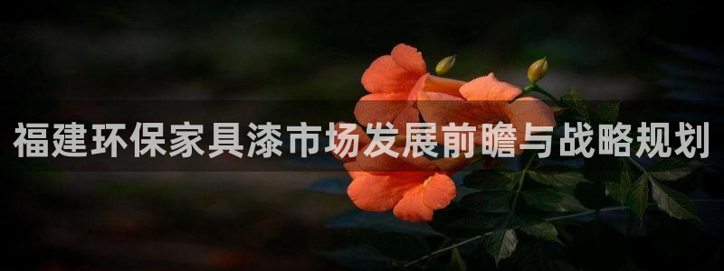 tp官网下载最新版本安装