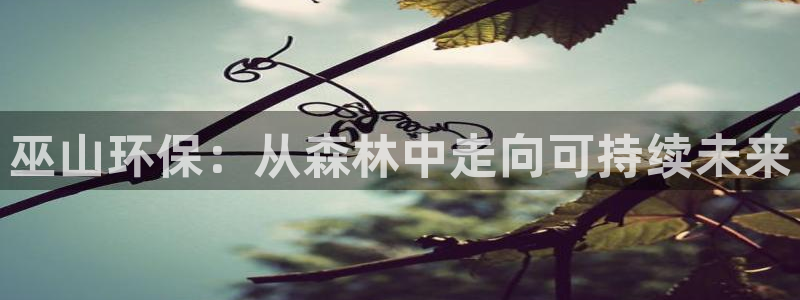 tp-link官网app
