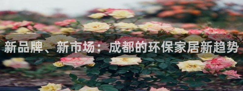 tp钱包BNB链转SOL链