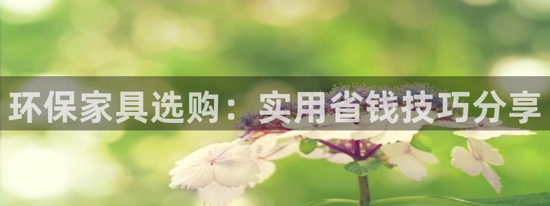 tp钱包BNB链转SOL链
