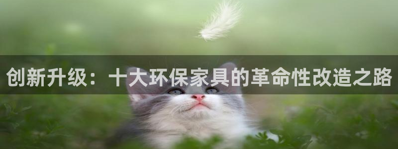 tp钱包fil挖矿