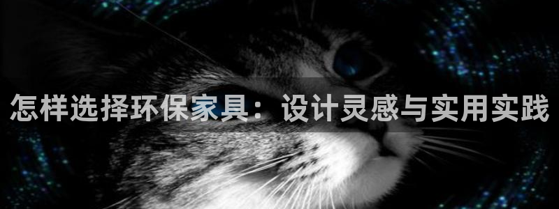tp钱包app官方下载安卓最新版本浙江税务