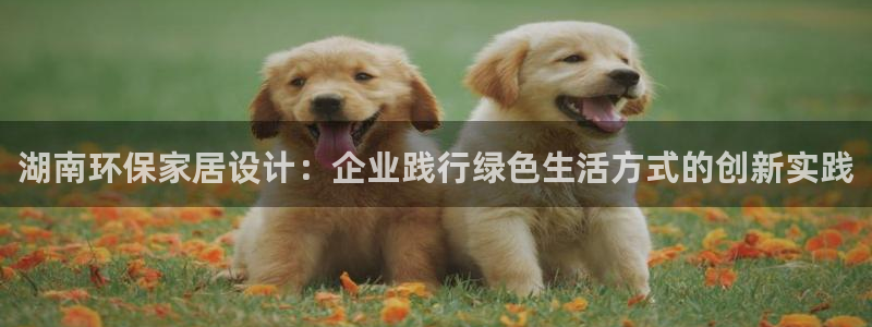 TP钱包安卓版最新