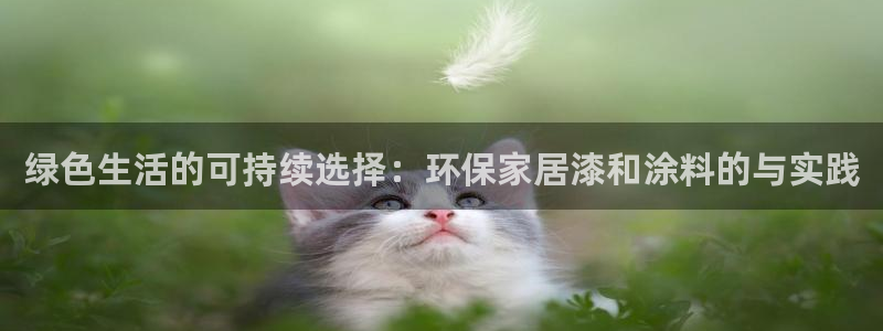 tp钱包nft