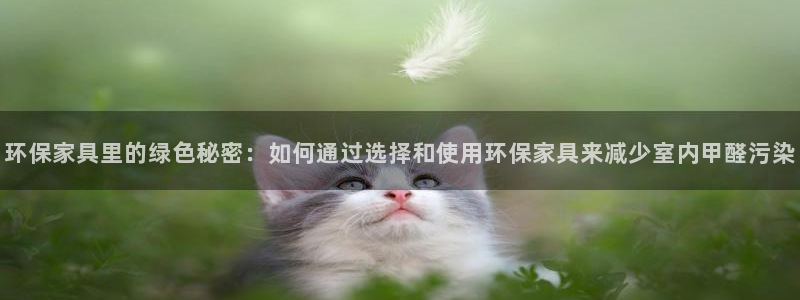 tp钱包安卓下载入口：环保家具里的绿色秘密：如何通过选择和使