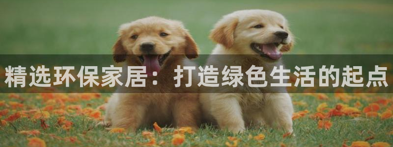 tp hd钱包