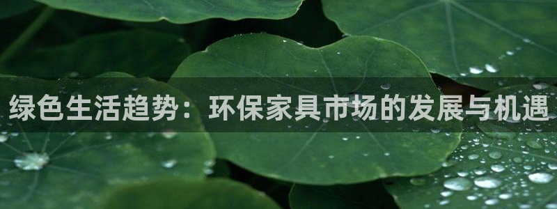 tp官网下载最新版本安装