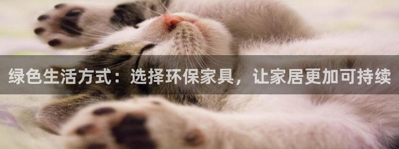 tp钱包安卓下载方法：绿色生活方式：选择环保家具，让家居更加