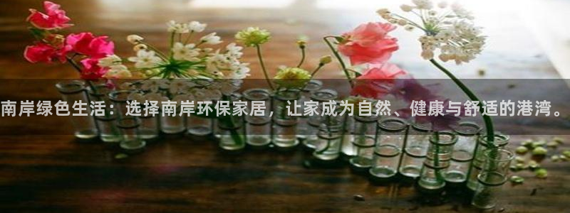 tp观察钱包哪里看