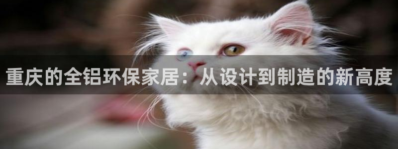 tptap下载：重庆的全铝环保家居：从设计到制造的新高度