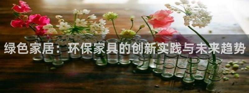 tp钱包安卓版下载：绿色家居：环保家具的创新实践与未来趋势
