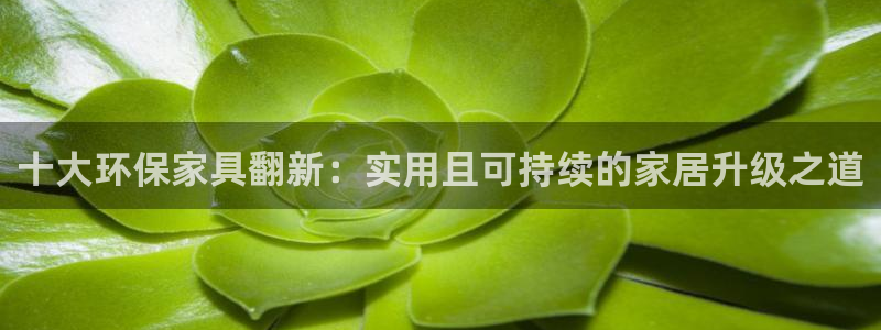 tptp下载安装官网：十大环保家具翻新：实用且可持续的家居升
