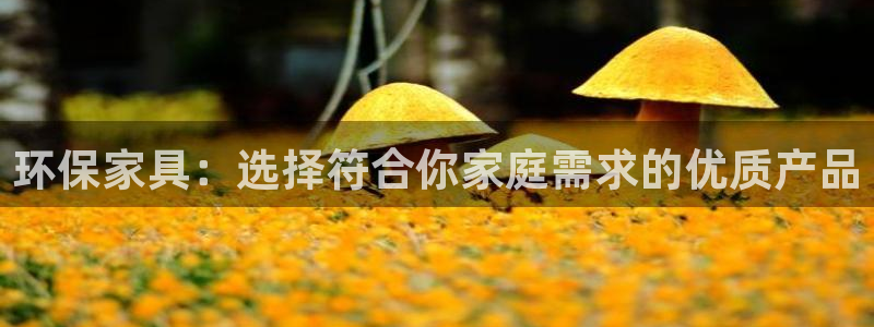 tp冷钱包扫码签名：环保家具：选择符合你家庭需求的优质产品