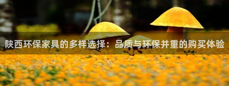 tp 钱包能被冻结吗