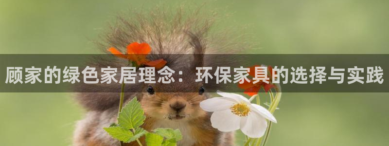 tp钱包EOS计算资源不足