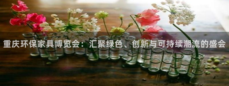 TP钱包安卓app