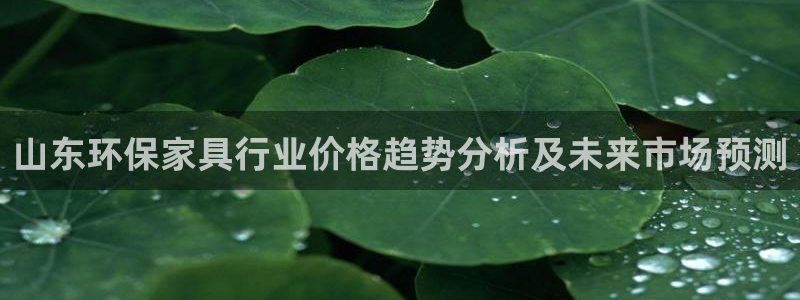 TP钱包DAPP安全吗：山东环保家具行业价格趋势分析及未来市