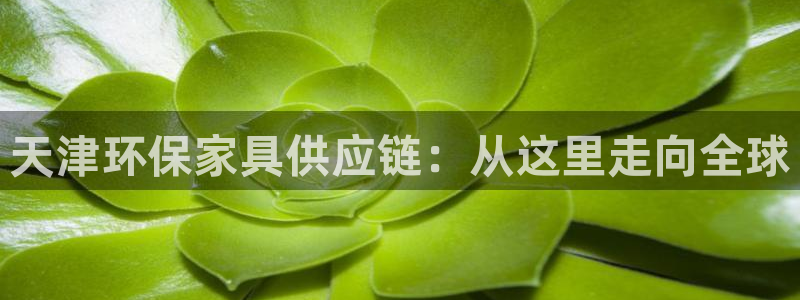TP钱包W的三个含义详解：天津环保家具供应链：从这里走向全球