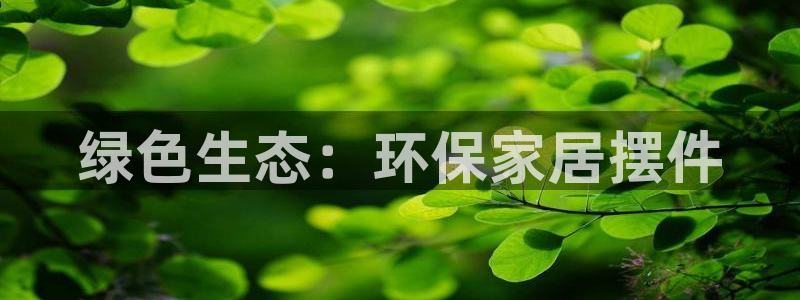 tp观察钱包有什么用