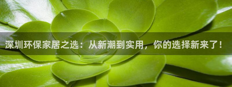 tp5.1下载：深圳环保家居之选：从新潮到实用，你的选择新来