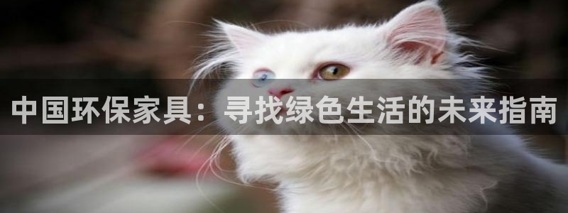 TP钱包app免费下载：中国环保家具：寻找绿色生活的未来指南