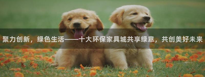 tplogin.an：聚力创新，绿色生活——十大环保家具城共