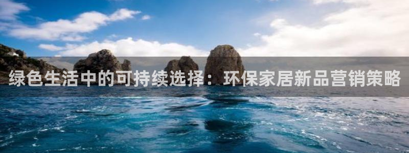 tpg下载：绿色生活中的可持续选择：环保家居新品营销策略