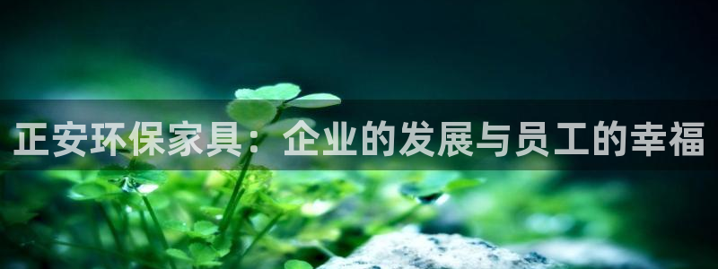 tp钱包matic链怎么转入：正安环保家具：企业的发展与员工
