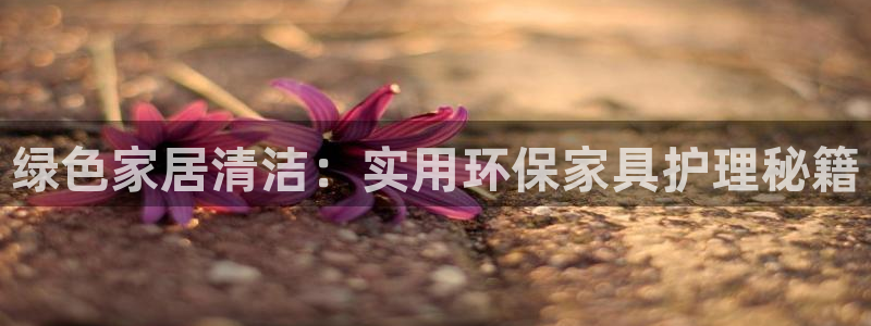 tp钱包APP官网最新版本：绿色家居清洁：实用环保家具护理秘