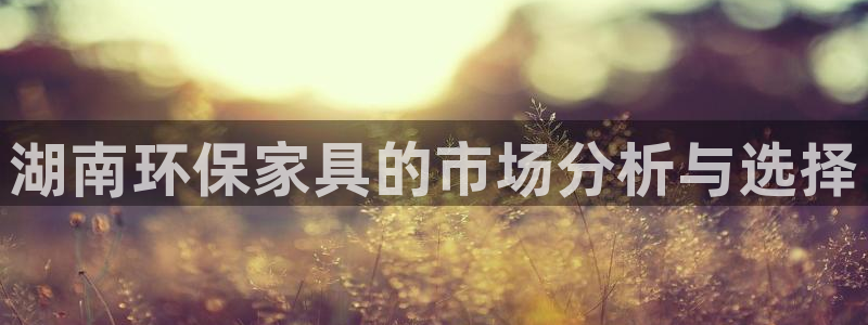 tp钱包安卓下载方法：湖南环保家具的市场分析与选择