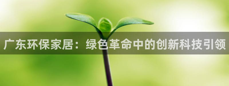 tptp下载免费下载：广东环保家居：绿色革命中的创新科技引领